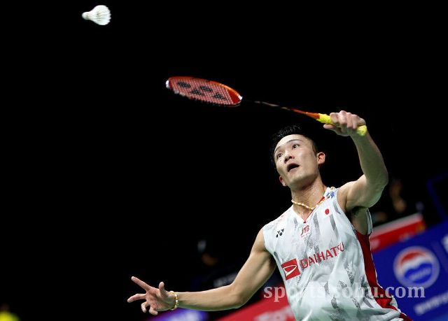 苦涩对比 苦涩对比