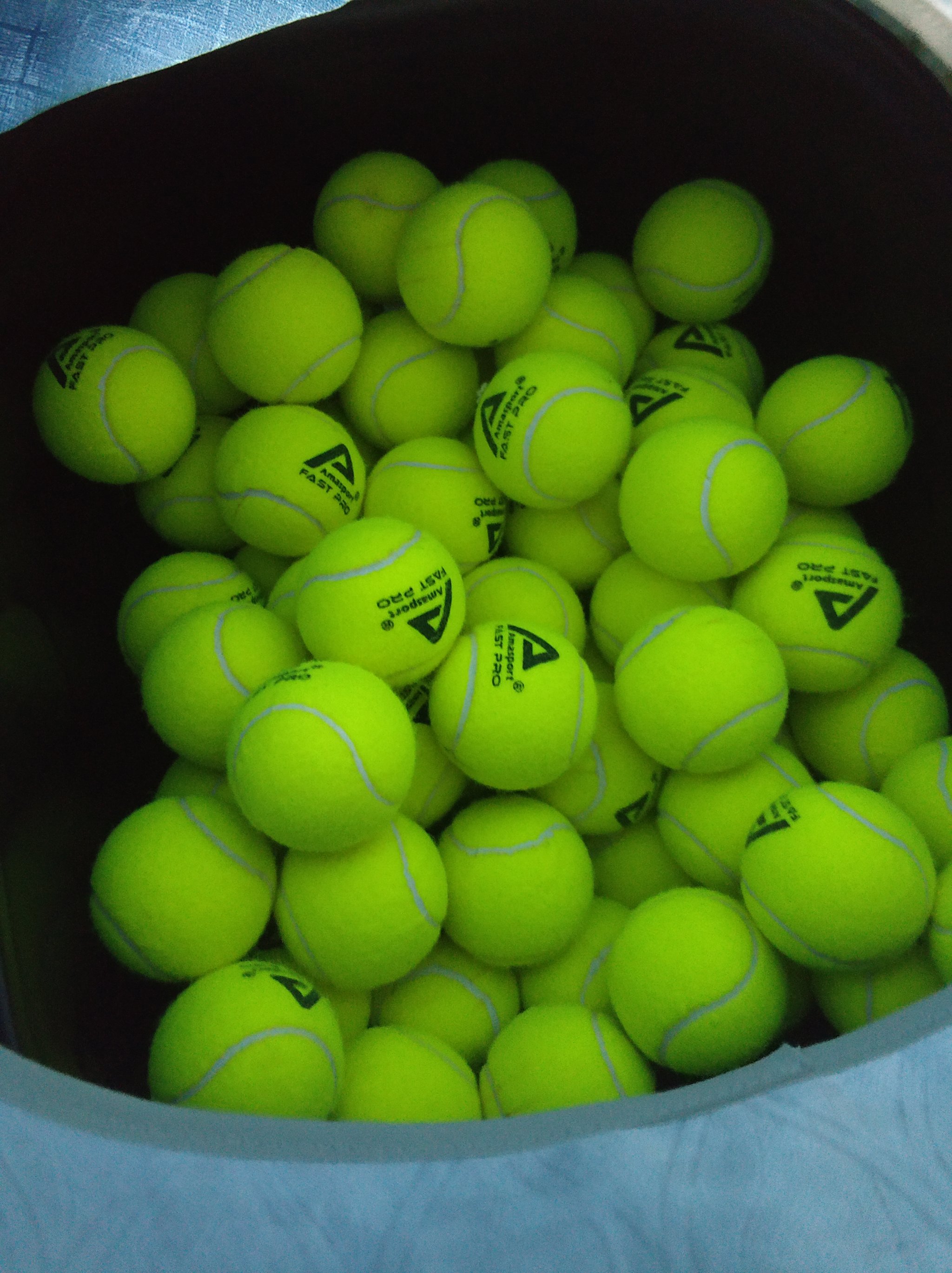 队战术的预 队战术的预